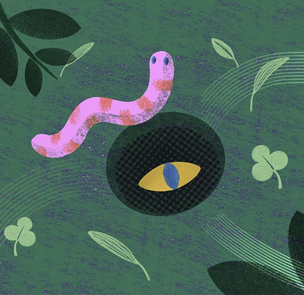 Gusano rosado asomándose a un hueco sobre fondo verde