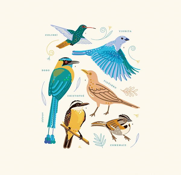 Lámina con seis aves de ciudad y sus nombres